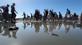 Israeli fire kills 55 Palestinians in Gaza, including 27 waiting for aid (3)