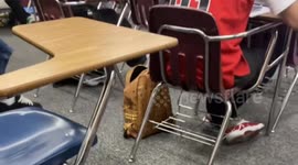 Loud Barbie ringtone disrupts quiet classroom in Gilbert, Arizona, USA