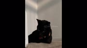 temp