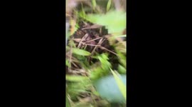 Hi I have attempted to upload 5x videos (within a folder) of my Mario cart crash in Dalat, Vietnam!