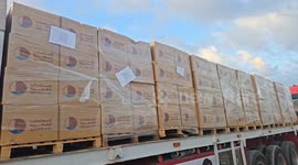 Egypt: Limited aid trucks enter Gaza amid ongoing Israeli restrictions