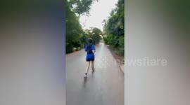 French tourist disappears while jogging through 'Tomb Raider' Angkor Wat temple in Cambodia