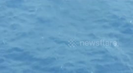 Philippines Coast Guard aircraft warns Chinese research vessel during patrol