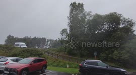 Trees battered by strong winds as Storm Floris hits UK