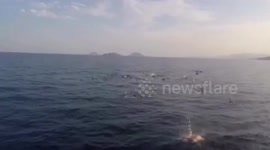 Yemen: Dozens Dead After Smuggling Boat Sinks Off Yemen