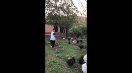 Rooster relentlessly chases boy around yard in Bingöl, Turkey