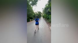 French tourist disappears while jogging through 'Tomb Raider' Angkor Wat temple in Cambodia