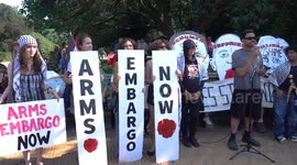 Families stand up and block the road for Gaza in New York City