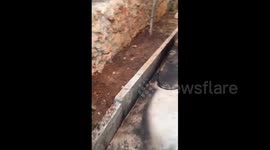 Palestine: Attempted Arson in West Bank Town of Turmus Ayya