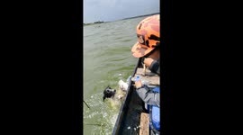 Fishermen save drowning dog tangled in discarded net