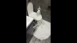 Foam Toilet Party