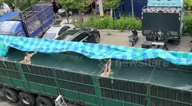 Men cool off in makeshift pool inside truck bed