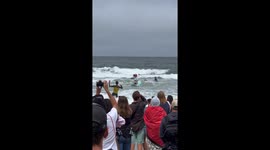 Surf’s up: Canine athletes make waves at World Dog Surfing Championship in California