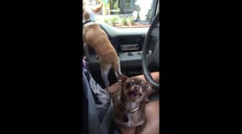 Lupita Does Not Like Being Filmed