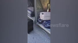 Horrified cops found 600 baby tortoises hidden in bus passenger's luggage