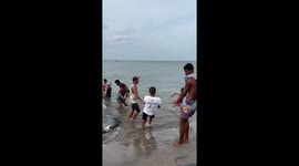 Locals scramble to collect anchovies from washed-up fishing net