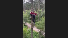 Boy learns that TreeTop Challenge is not for the faint of heart