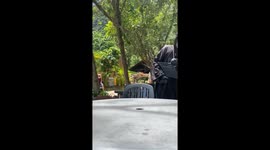 When the ghost comforts you instead of scaring you—4M views at Lost World of Tambun
