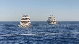 Egypt: Red Sea's Daedalus Reef draws divers with sharks, coral and history