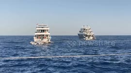 Red Sea's Daedalus Reef draws divers with sharks, coral and history