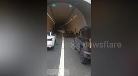 Five horses watch over sick foal at tunnel entrance protecting it from cars