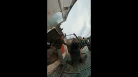 Sea Lion Friend on the Boat Deck