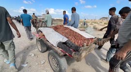 Israel’s deliberate attack on aid-seeking Palestinians in Gaza leaves multiple dead and wounded