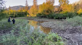 Boat Fails to Jump Beaver Dam