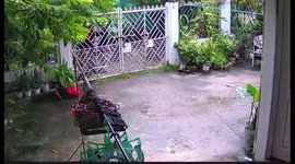 Dog receives parcel at the gate in Bacoor, Cavite