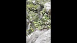 'Smoke' Waterfall (Cachoeira da Fumaça) in Bahia, Brazil, a 340m drop where the water never reaches the ground