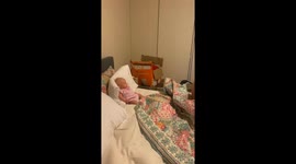 12 week old baby hysterically laughing
