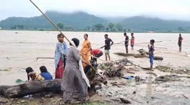India: Life on the Line: Brave Wood Collectors Risk All in Flooded Haridwar, Uttarakhand
