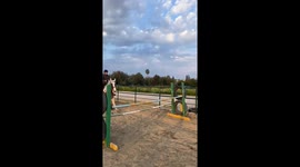 Horse rider gets her aura wallet emptied after embarrassing fall