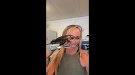 Restaurant owner surprises man with a humorous breakfast prank featuring a fake cockroach