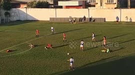 That shot had sting! Football players dive for cover as bees attack pitch
