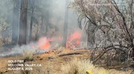 US: California fire has burned over 33,000 hectares with 9% containment