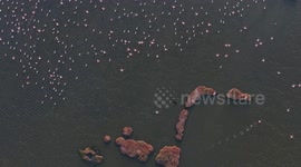 Türkiye: Stunning drone footage captures pink flamingos in Türkiye’s Gediz Delta