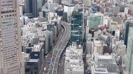Japan: US unilateral tariff policy undermines global free trade, economic stability: Japanese scholar