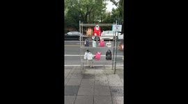 Cheeky stray dog steals food waiting to be collected by delivery riders