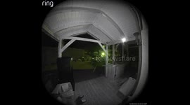 a fox steals my garden shoe at night