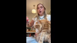 Cat Inhaler Chronicles