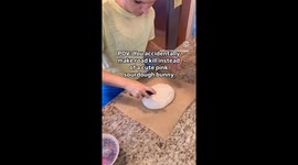 Amateur baker’s ‘roadkill bunny’ sourdough sparks laughter and Easter joy