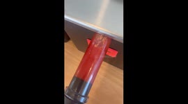 Larvae in Ketchup Dispenser