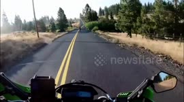 Motorcycle collides with cougar on rural road in Goldendale, Washington, USA