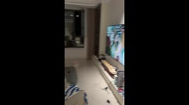 Kitten watches TV while sitting on chair in Heilongjiang, China