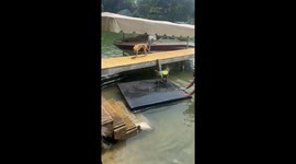 Frenchie Down!