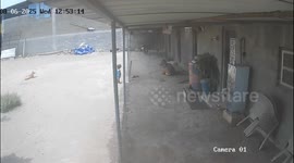 Father’s Quick Response Saves 2-Year-Old from Dog Attack in Amreli, Shocking CCTV Footage Emerges*