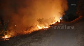 US, Los Angeles: Elysian Park Firefighters Battle Wildfire In Elysian Park