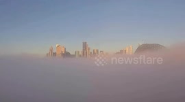 Thick fog engulfs Sydney Harbour obscuring iconic Opera House