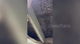 Mum-of-two 'in shock' after mould-ridden ceiling in her flat collapses